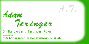 adam teringer business card